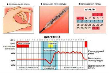 Естественные методы контрацепции
